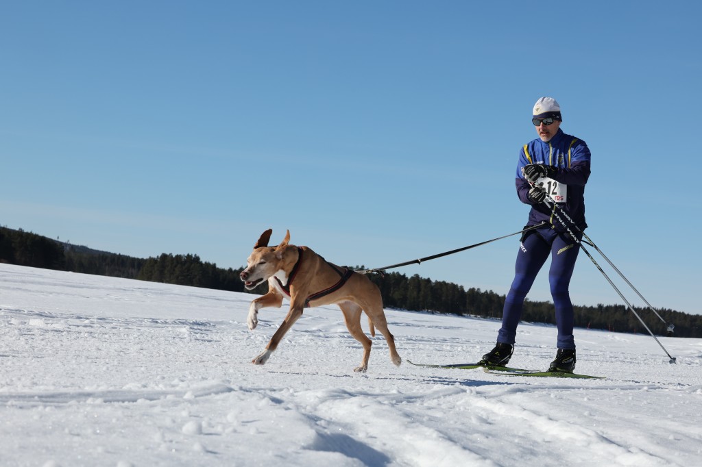 Vindelalvsdraget - day 3 - 18.jpg