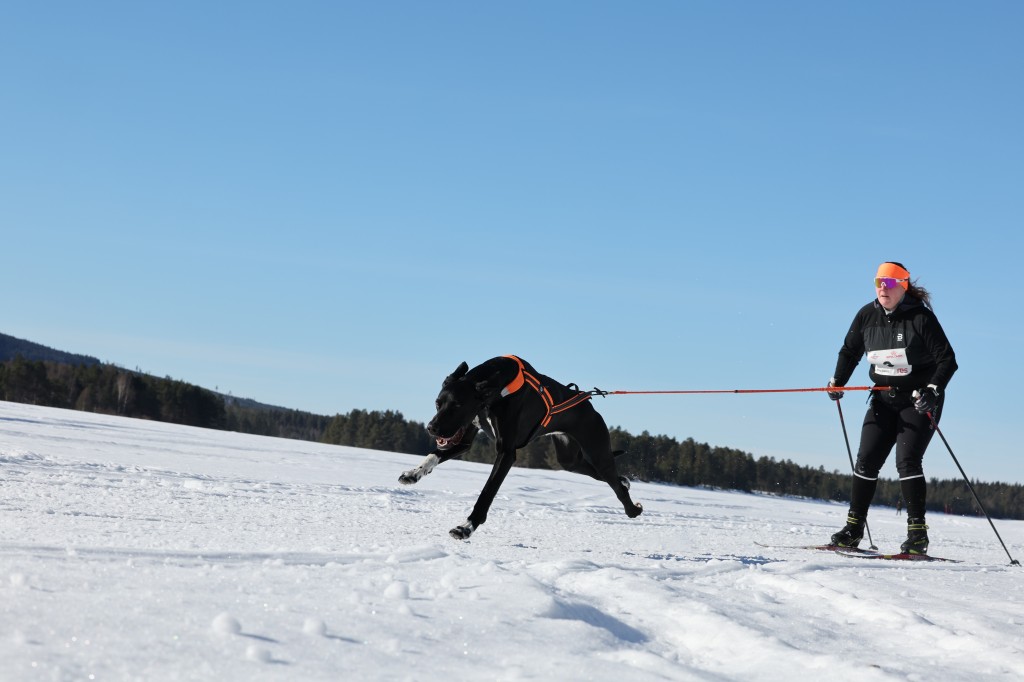 Vindelalvsdraget - day 3 - 19.jpg