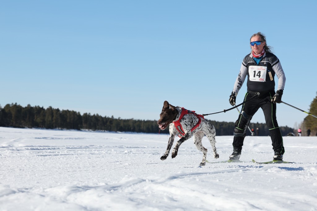 Vindelalvsdraget - day 3 - 20.jpg