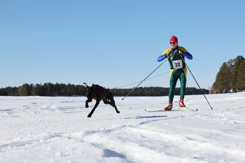 Vindelalvsdraget - day 3 - 21.jpg