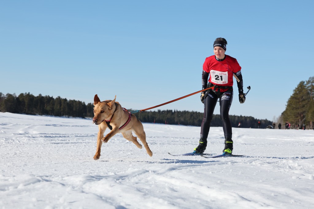 Vindelalvsdraget - day 3 - 22.jpg