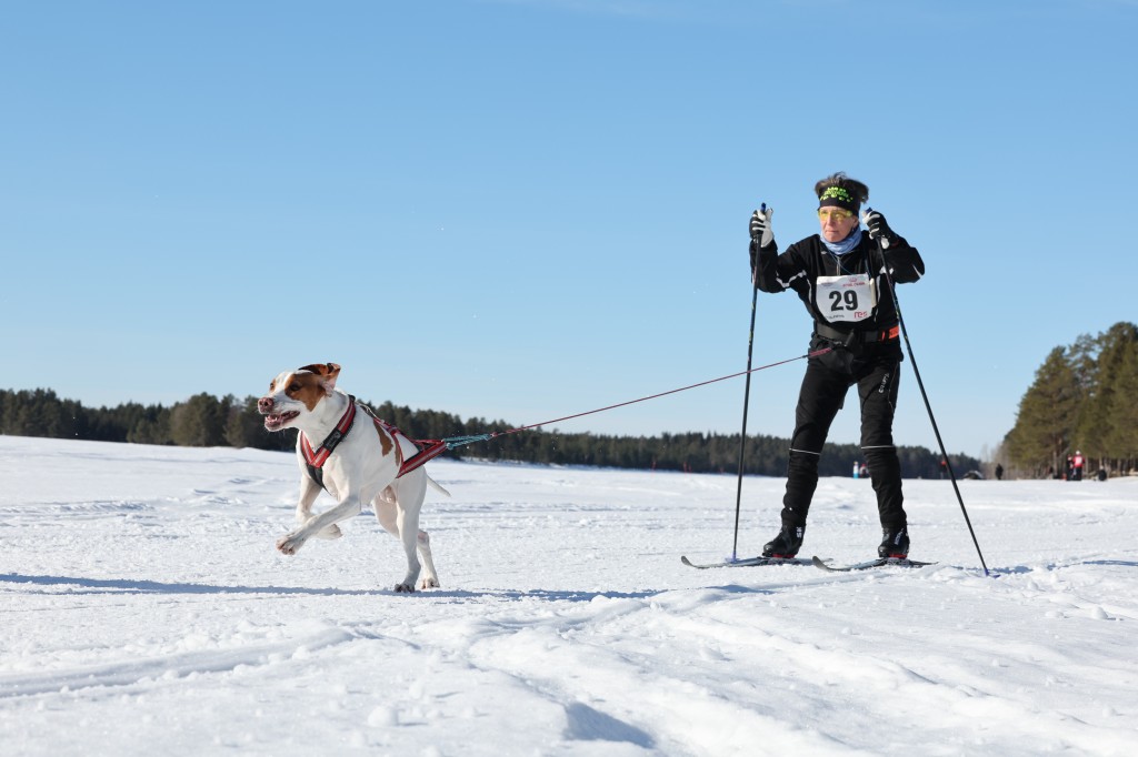 Vindelalvsdraget - day 3 - 24.jpg