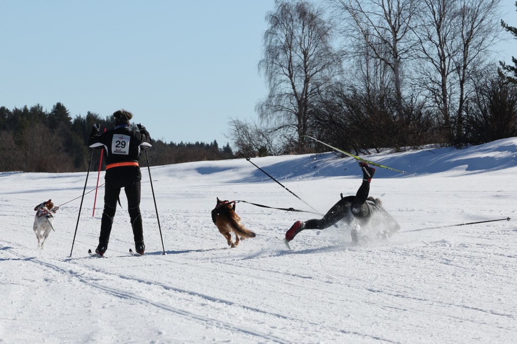 Vindelalvsdraget - day 3 - 25.jpg