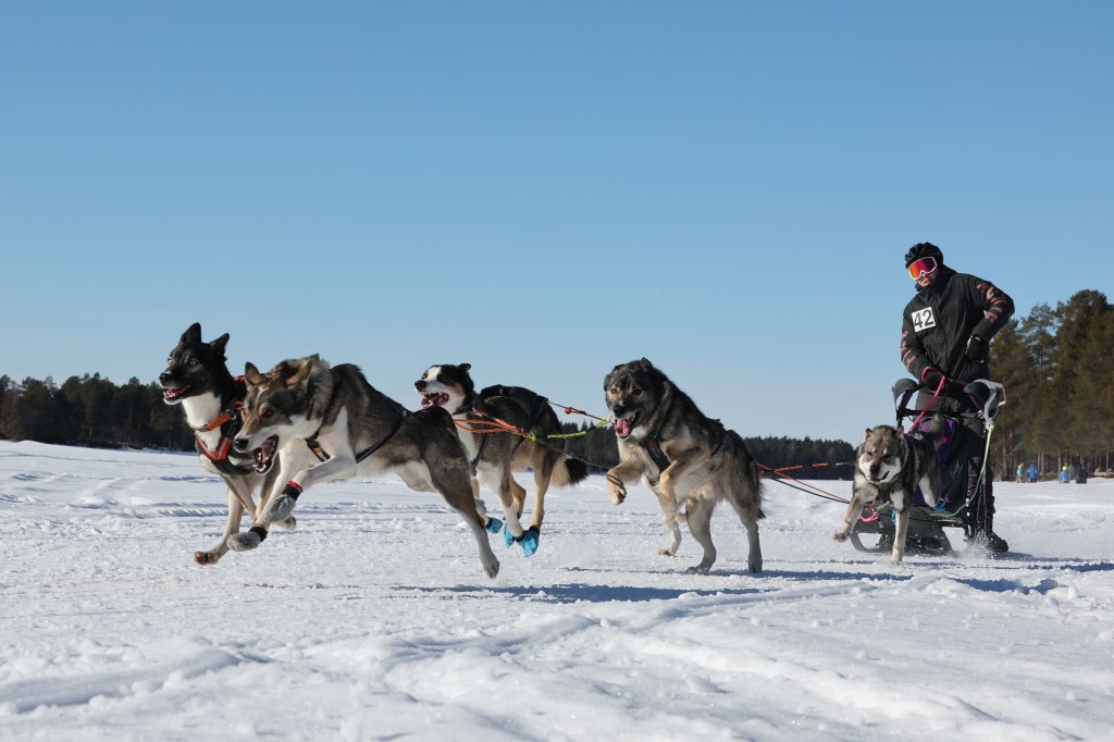 Vindelalvsdraget - day 3 - 26.jpg