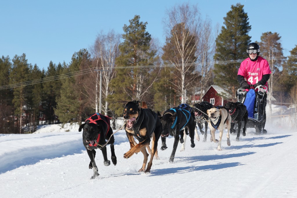 Vindelalvsdraget - day 3 - 32.jpg