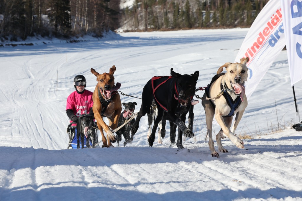 Vindelalvsdraget - day 3 - 39.jpg