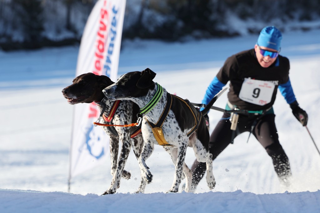 Vindelalvsdraget - day 3 - 60.jpg