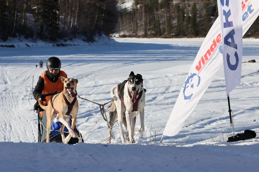 Vindelalvsdraget - day 3 - 63.jpg