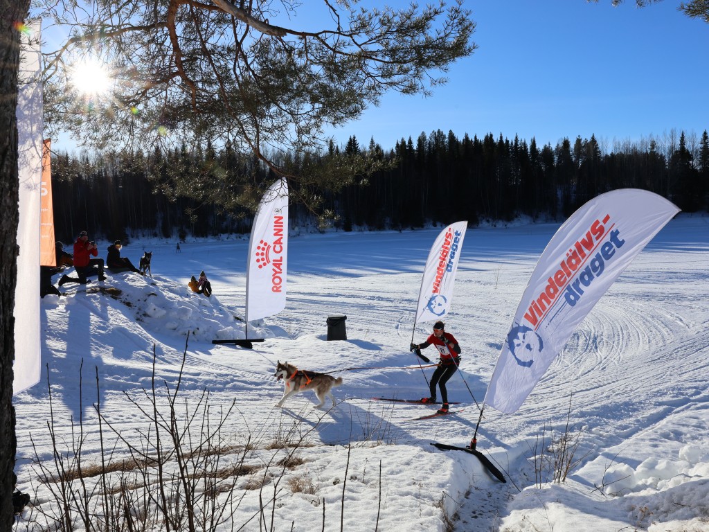 Vindelalvsdraget - day 3 - 67.jpg