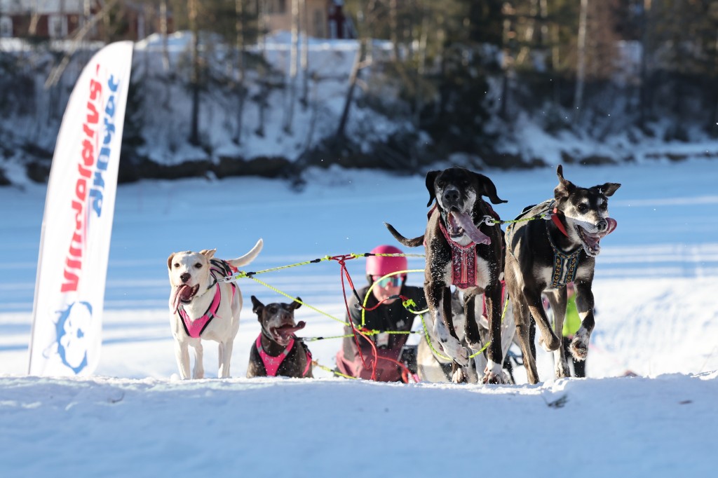 Vindelalvsdraget - day 3 - 70.jpg