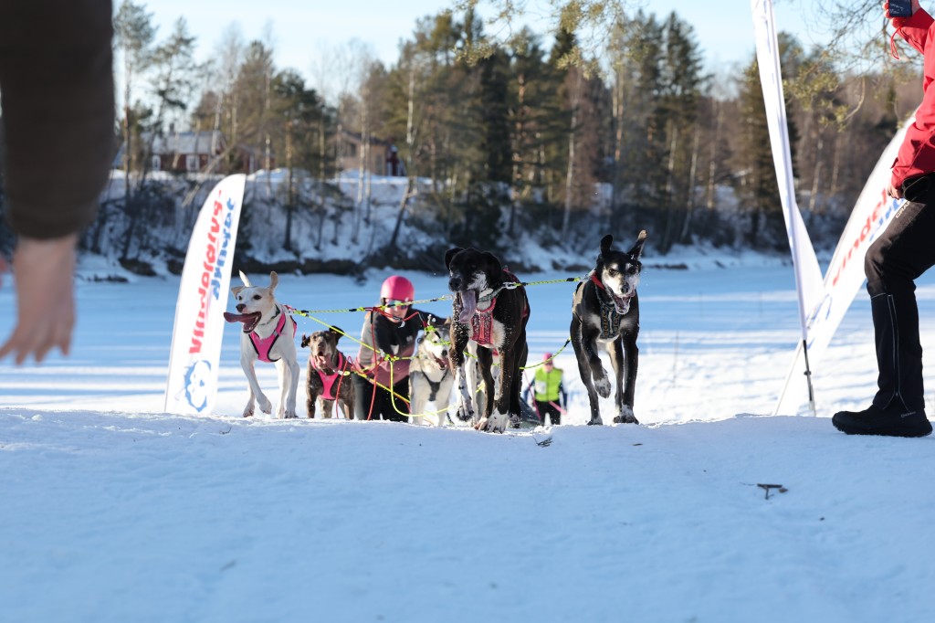 Vindelalvsdraget - day 3 - 71.jpg