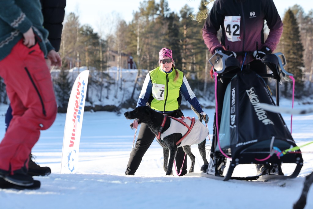 Vindelalvsdraget - day 3 - 72.jpg