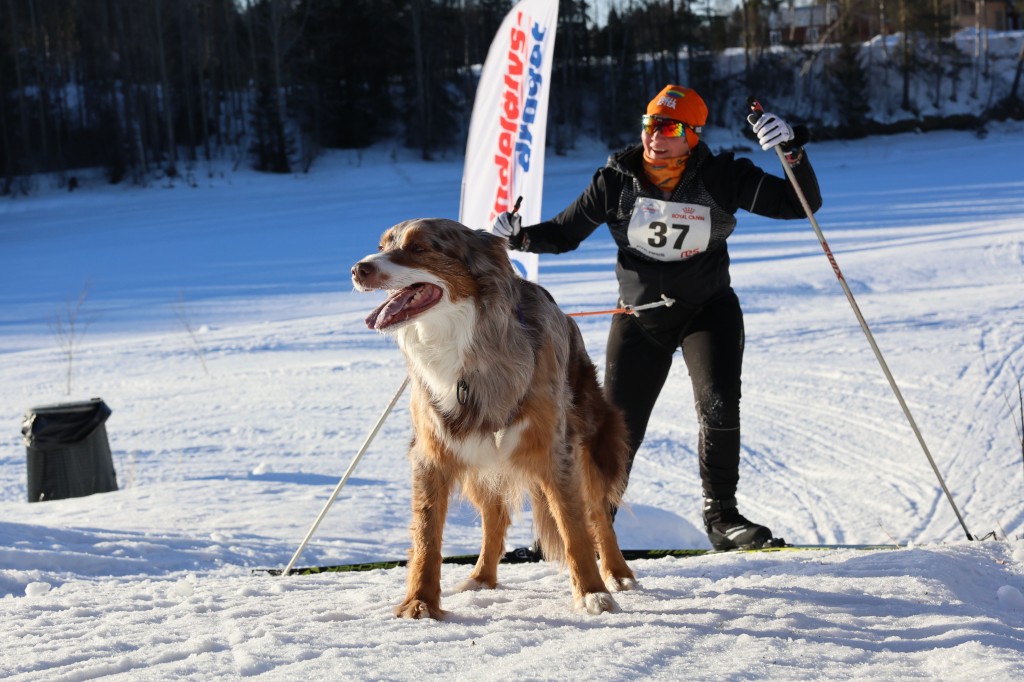 Vindelalvsdraget - day 3 - 73.jpg