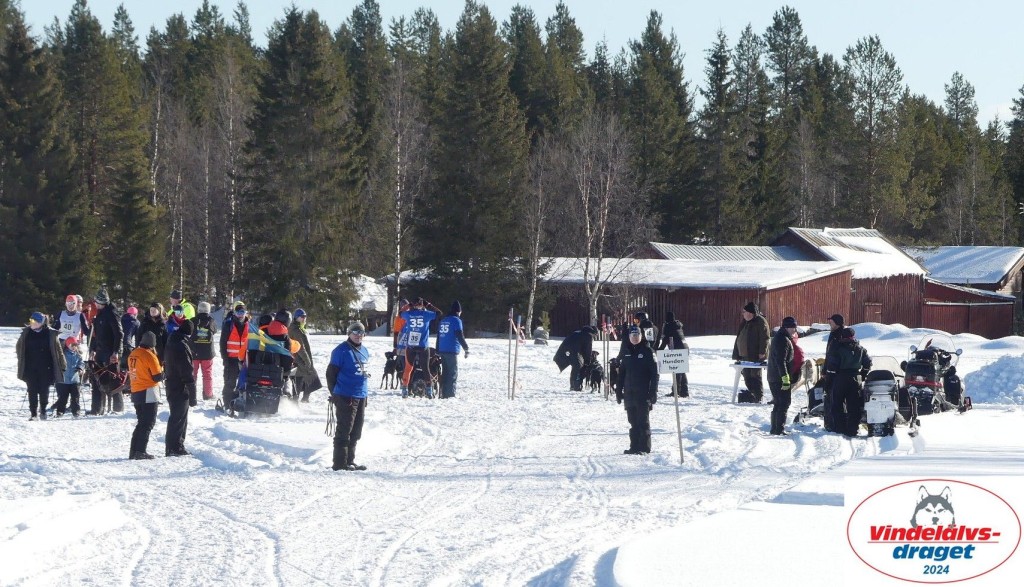 P1080801_cr_resultat.jpg