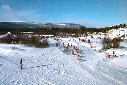 dag118.jpg (43293 bytes)